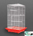 Prévue Pet Cleanlife Tall Tiel Cage 18 x 18 x 36 pouces Hauteur