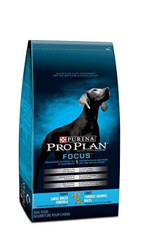 Purina ProPlan Focus Large Breed Dry Food For Puppy 15.4KG