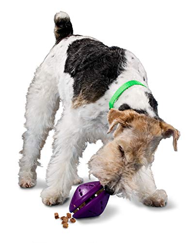 PetSafe Twist 'n Treat Dog Toy, Use with Food or Treats