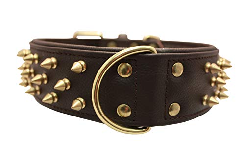 Spiked Studded Leather Dog Collar, Wide, Padded, Double-Ply, 26" x 2", Brown. Stainless Steel (Amsterdam) Rottweiler, Cane Corso. Necks: 20" - 24"