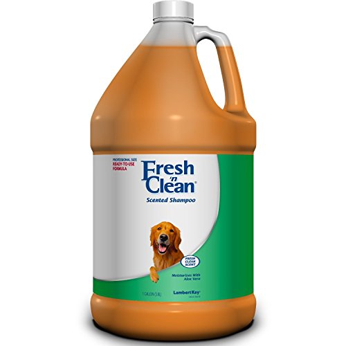 Lambert Kay 30907 Fresh n Clean Dog Shampoo Gallon