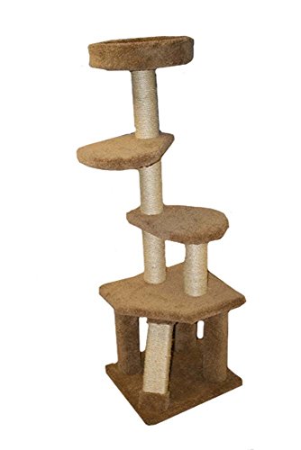 North American Pet 49636 Classy Kitty Top Perch