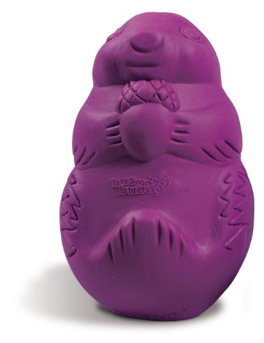 Busy Buddy Squirrel Dude Size:medium Packs:pack Of 1