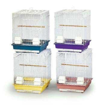 Produits pour animaux de compagnie BPVECONO1616 CACHATIONS ÉCONOMIE 4 PAPLE