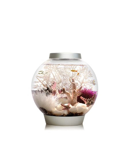 Biorb Classic 15 Aquarium avec lumière LED - 4 gallons, argent