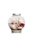 Biorb Classic 15 Aquarium avec lumière LED - 4 gallons, argent