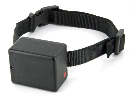 Innotek Extra Receiver, SD-3000/SD-3100 SYSTEMS