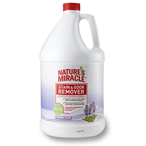 Natures Miracle DD1378L Stain & Odor Remover Lavender Scent 128 Oz