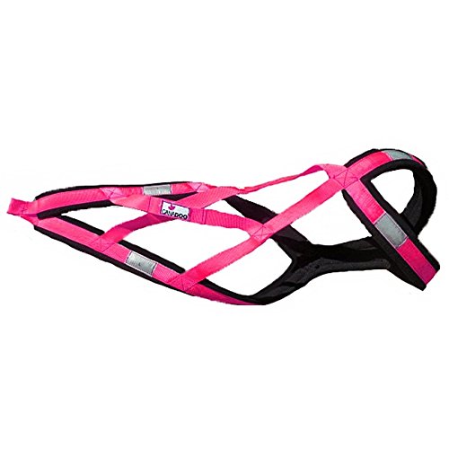 Canadog Vivid Regular X- Back Fleece Dog Harness