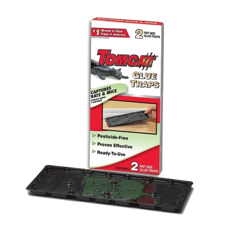 Tomcat Rat and Mice Glue Boards Traps 2pk