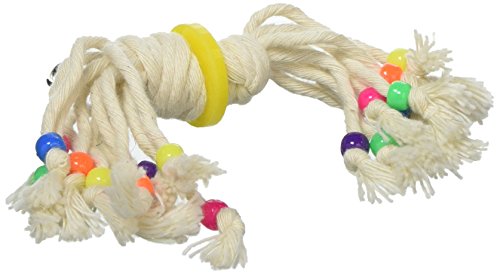 Zoo Max DUS116 Spiddy Jr Small 6in Bird Toy