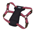 Harness d'explorateur de compagnie côtière K9 26-38X1