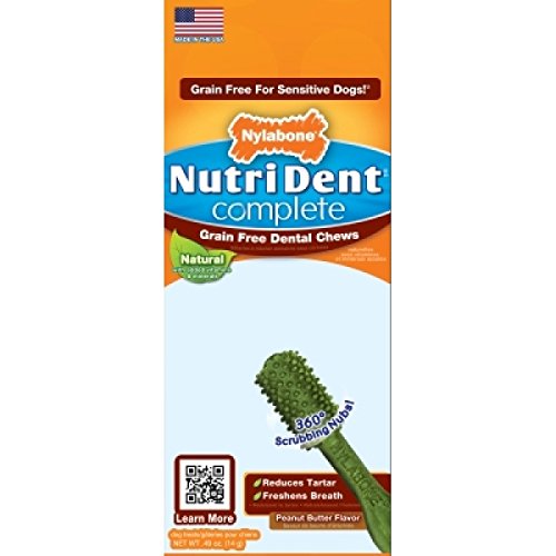 Nylabone ntd991p nutri dent grain sans maille dentaire complète single 40pk