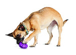PetSafe Twist 'n Treat Dog Toy, Use with Food or Treats