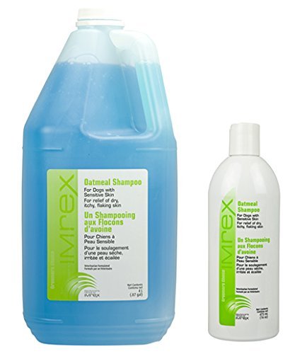 Shampooing à l'avoine imrex pour chien 4 litres