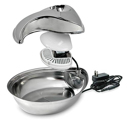 Pioneer Pet Raindrop en acier inoxydable en acier inoxydable pour animaux de compagnie