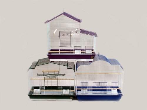 PACKATION PREVUE PREPAK CACES 3 PACK