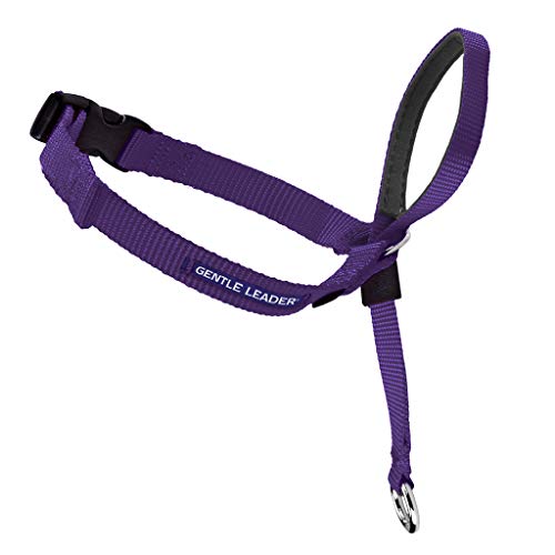Radio Systems PRP-GLQHCPPU Gentle Leader Quick Release Headcollar, Petite, Purple