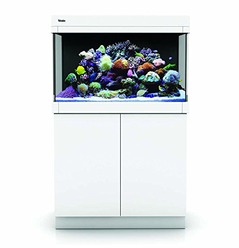 Red Sea R40023 Max C-Series Aquarium Tank and Stand (White, 65gal)
