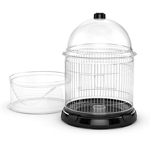 Bio Bubble Bird Terra Kit