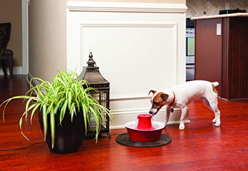 PetSafe Drinkwell Avalon Pet Water Fountain, Ceramic Drinking Fountain for Cats and Dogs, 70 oz. Water Capacity