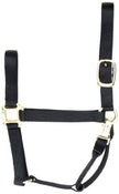 Accent Coastalpet 1 pouce Couleur solide Halter de cheval premium avec Equi-Snap
