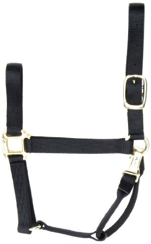 Accent 1-Inch Wide Premium Halter for Yearlings, 500 to 800-Pound, Black