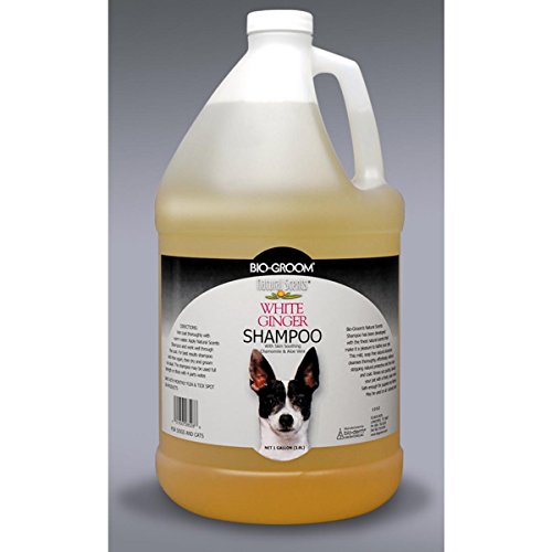 Bio Groom Natural Scents DD7297A White Ginger Shampoo - Gallon