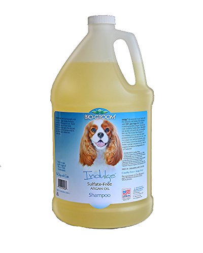 BioGroom Indulge Argan Oil Shampoo One Gallon