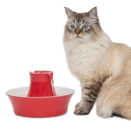 PetSafe Drinkwell Avalon Pet Water Fountain, Ceramic Drinking Fountain for Cats and Dogs, 70 oz. Water Capacity