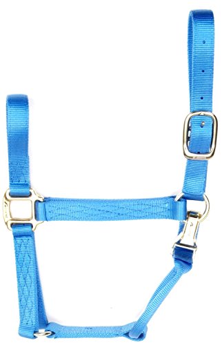 Coastalpet Accent 1-Inch Deluxe Halter with Equi-Snap & Chin Adjustment