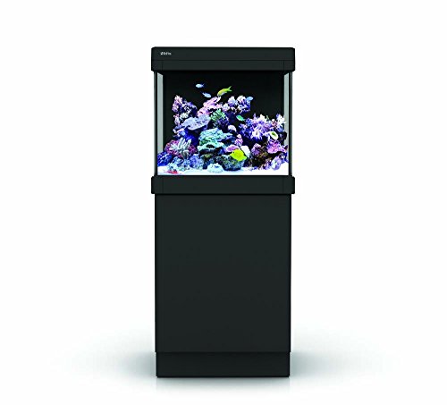 Merde Rouge MAX C-Series Aquarium Tank and Stand