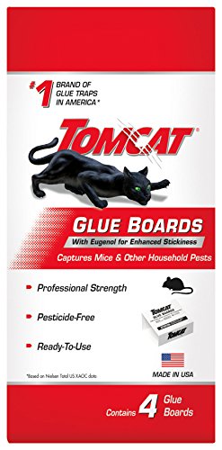 TOMCAT 0363110 PARTE MULTIQUE PEST WO AVEC EUGENOL