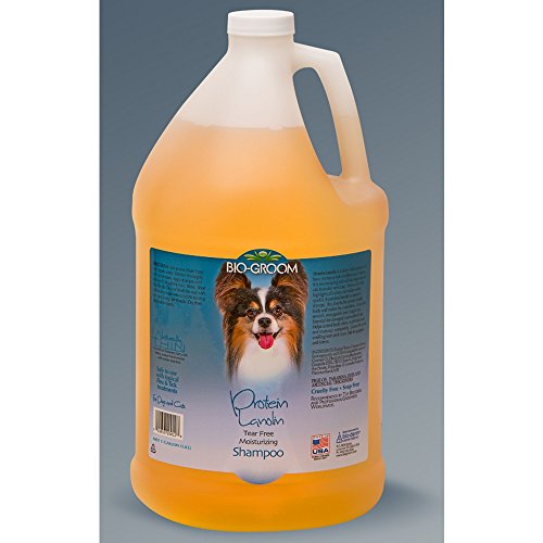 Bio Groom Protein Lanolin Tear Free Moisturizing Shampoo