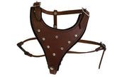 Himstones en cuir harnais de chien bling, petit, marron, 100% authentique en cuir argentin (Malibu) pour de petites races. Cou: 7 