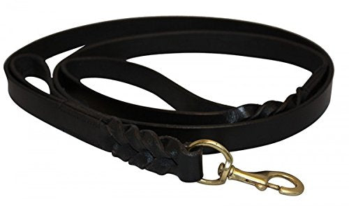 Angel Pet Supplies Double Handle Braided Leather Leash 6'x1'