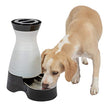 PetSafe Healthy Pet Water Station Dog and Cat Water System with Stainless Steel Bowl