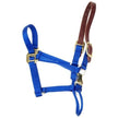 Accent Coastalpet 1 pouce Lalter pour les chevaux