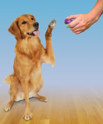 PetSafe Clik-R Trainer