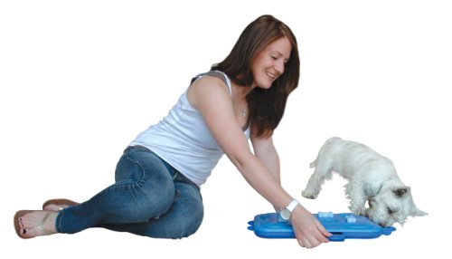 Nina Ottosson DogCasino Interactive game