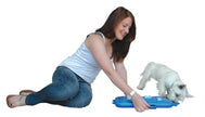 Nina Ottosson DogCasino Interactive game