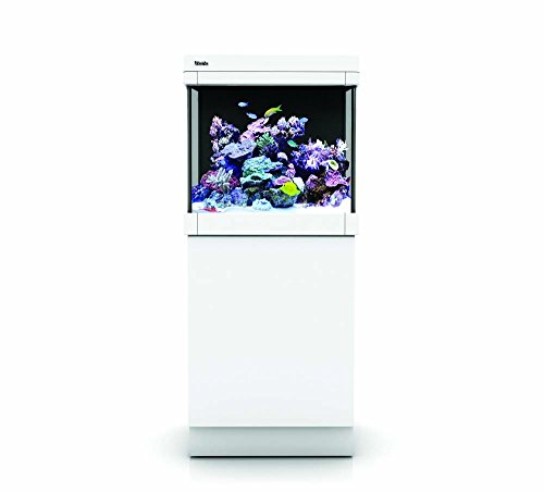 Mer Rouge R40013 MAX C-Series Séries Aquarium Tank and Stand (blanc, 35gal)