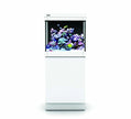 Mer Rouge R40013 MAX C-Series Séries Aquarium Tank and Stand (blanc, 35gal)