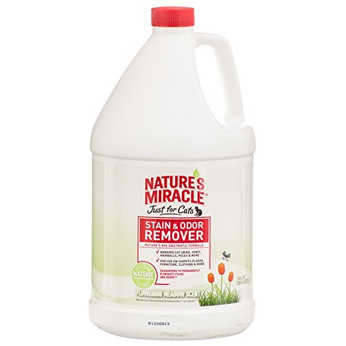 Nature's Miracle NM-5384 Juste pour les chats colorants et dissolvant Floor Meadow Gallon