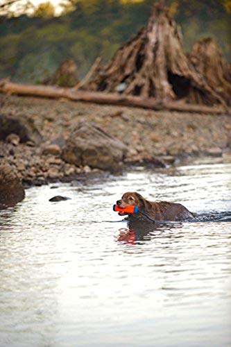 Chuckit matériel canin! Jouet flottant amphibie pour pare-chocs