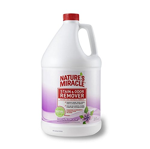 Nature's Miracle Stain & Odor Remover Tropical Bloom (1 gallon)