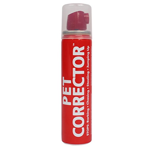 La compagnie des animaux Correcteur pour animaux de compagnie, 50 ml