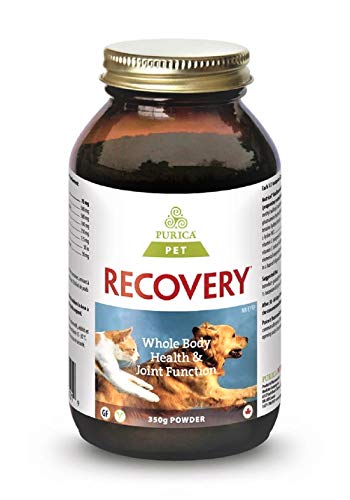 Récupération SA POUDRE 350 g