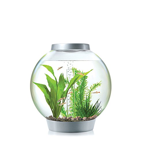 Biorb Classic 15 Aquarium avec lumière LED - 4 gallons, argent