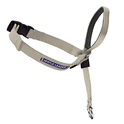 Radio Systems PRP-GLQHCXFA Gentle Leader Quick Release Headcollar, XLarge, Fawn